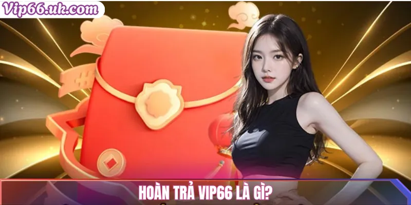Hoàn trả VIP66 là gì?