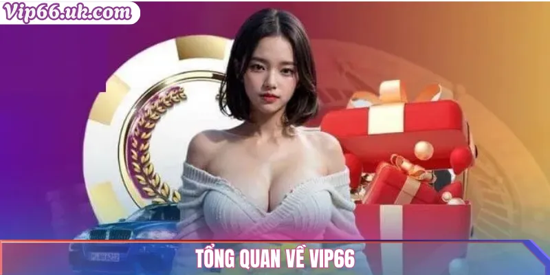 Tổng quan về VIP66