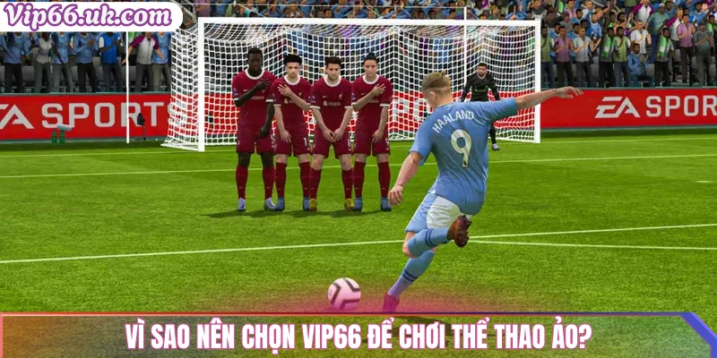 Vì sao nên chọn Vip66 để chơi thể thao ảo?